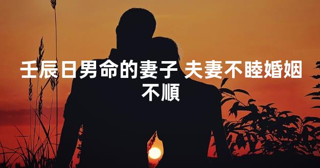 壬辰日男命的妻子 夫妻不睦婚姻不順